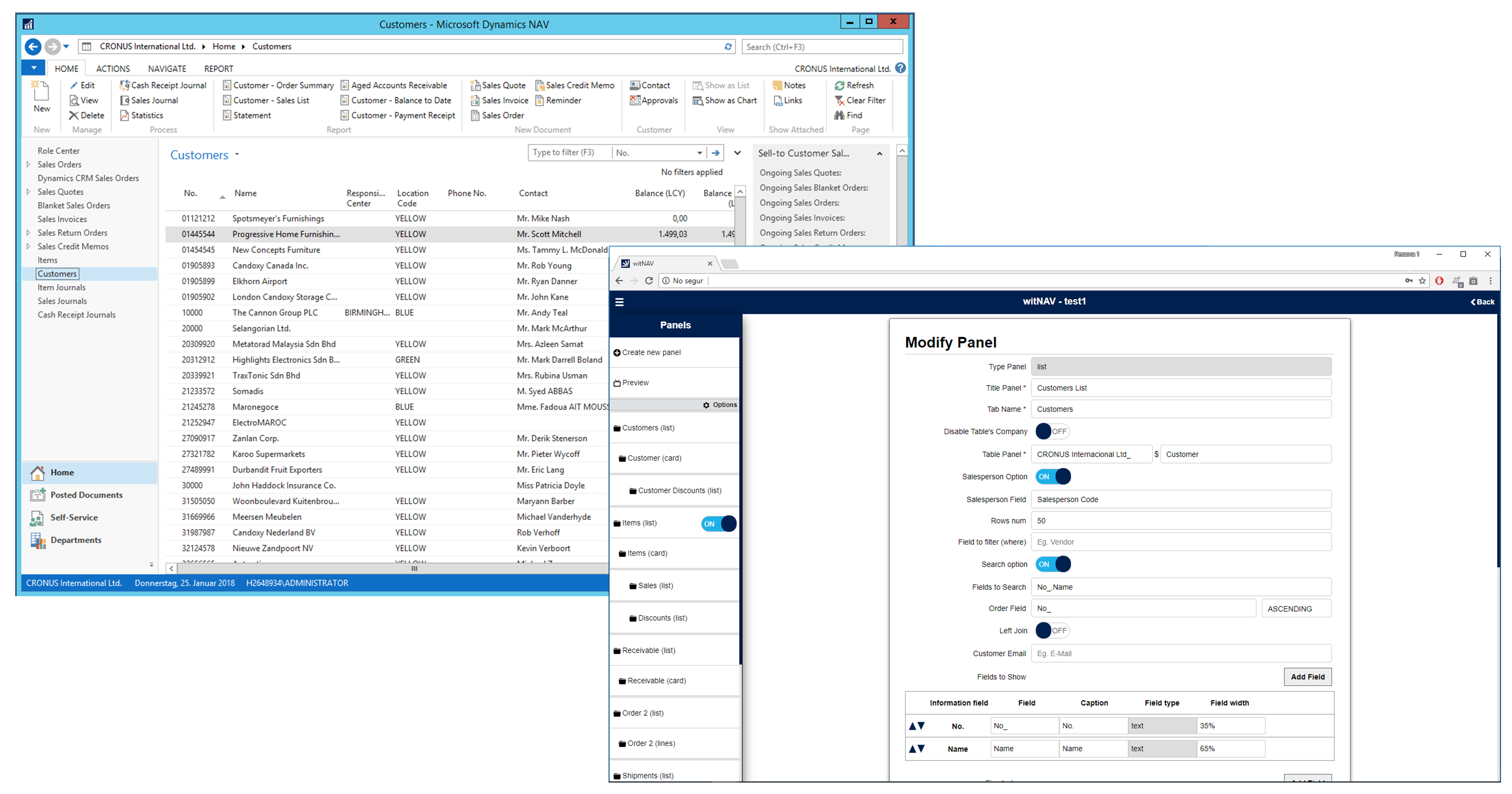 Dynamics NAV and witNAV panel